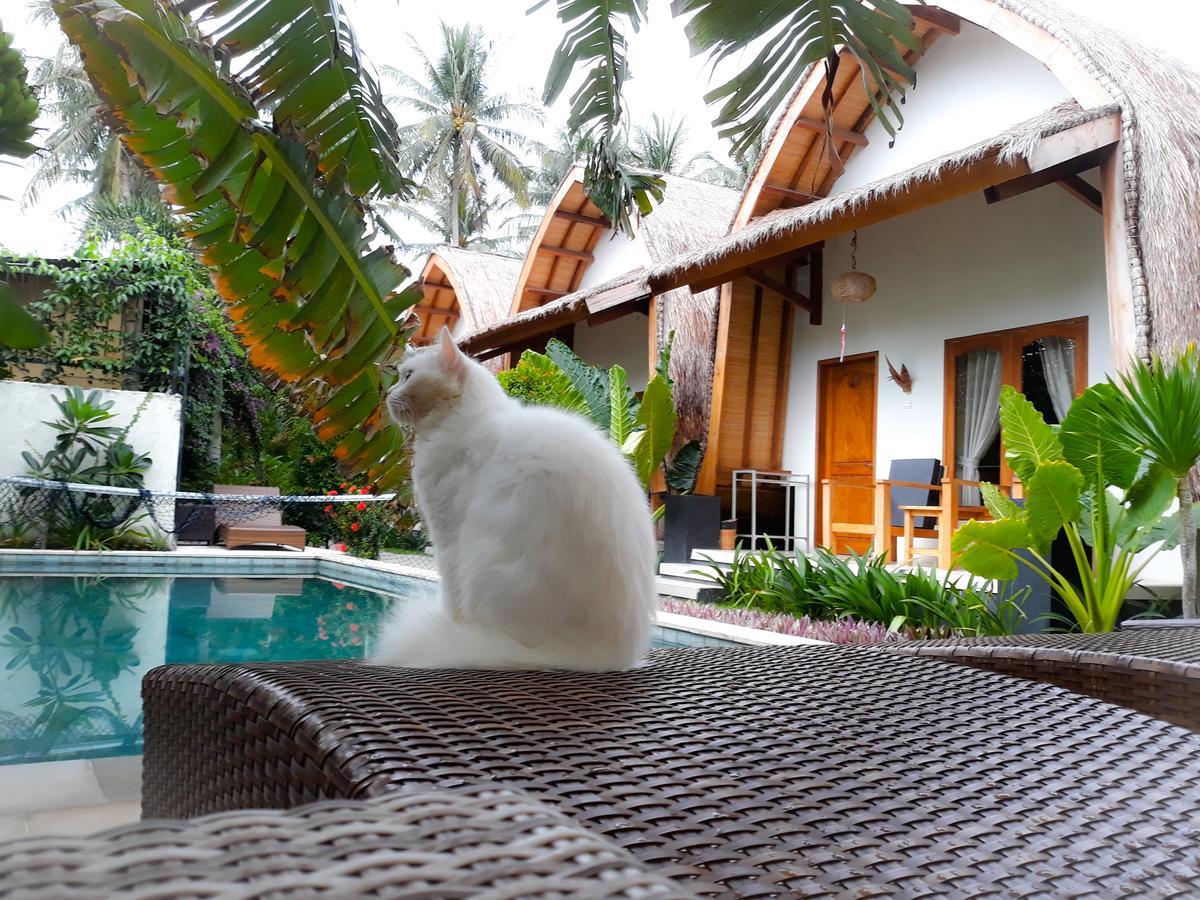 Teras Lombok Bungalow Сенггігі Екстер'єр фото