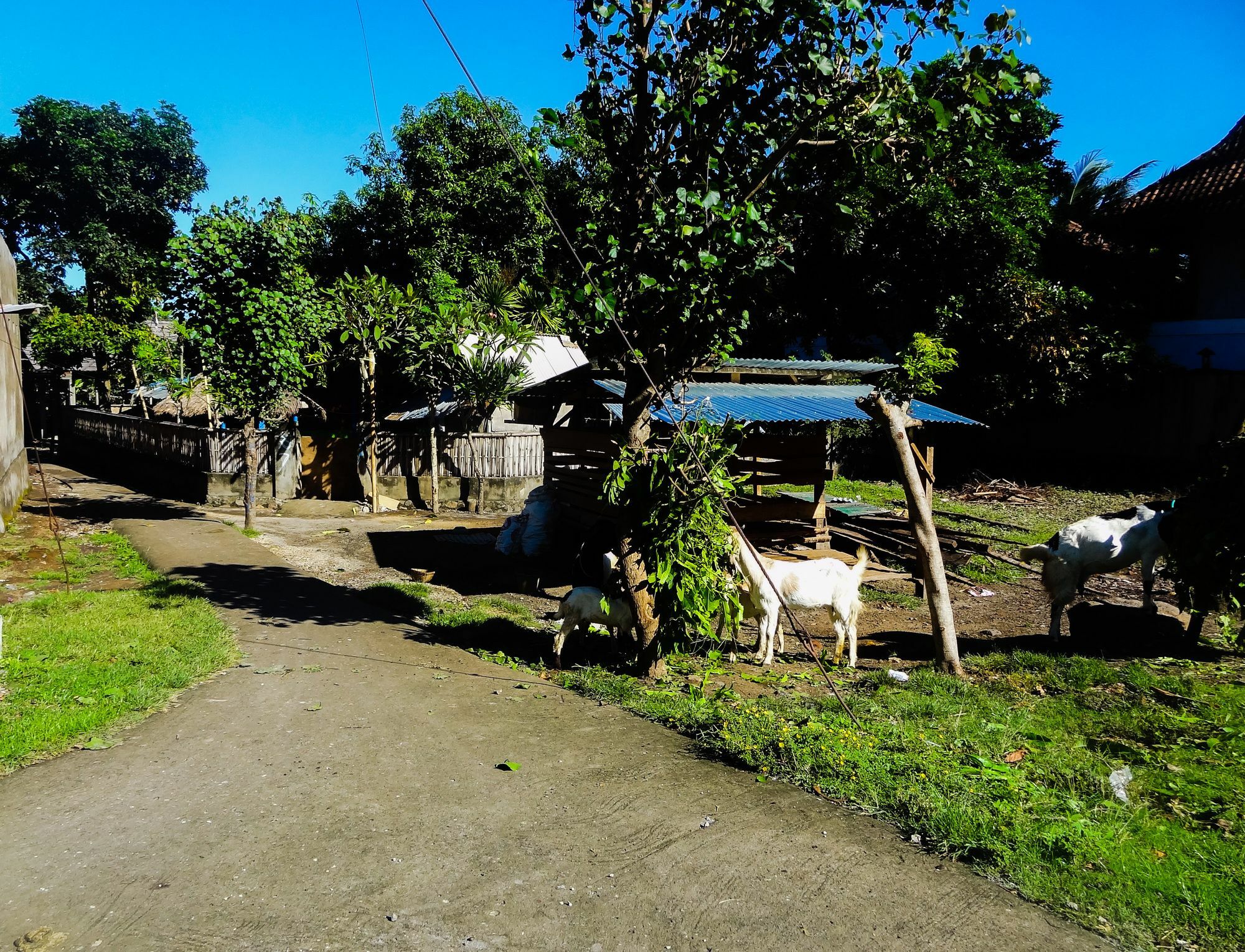 Teras Lombok Bungalow Сенггігі Екстер'єр фото